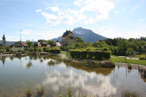 Gartenwohnung Weitblick