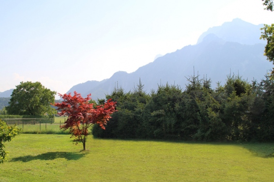 Baugrund am Grünland