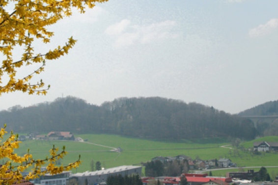 Hallwang near Salzburg