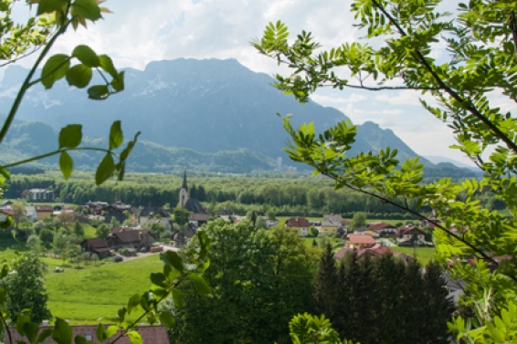 Puch near Salzburg