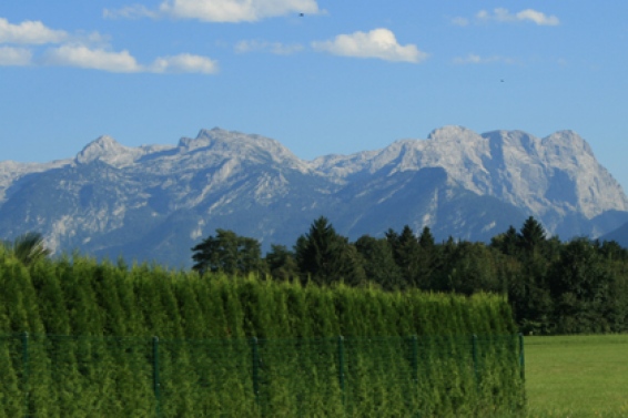 Puch near Salzburg