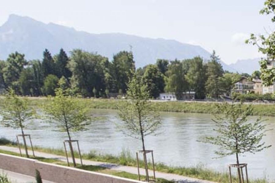 Elisabeth Katherine Andrews, DO visual data 3