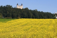 Bergheim near Salzburg