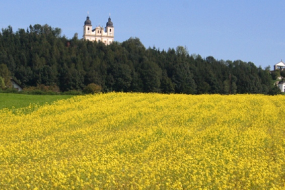 Bergheim near Salzburg