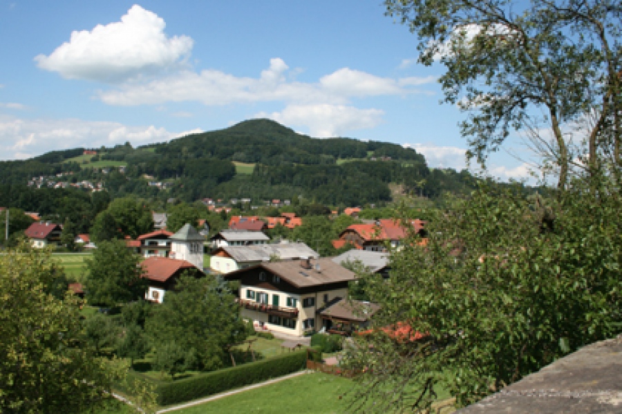 Real estate in Bergheim near Salzburg Finest Homes