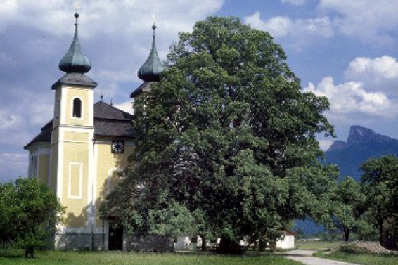 St. Lorenz near Mondsee
