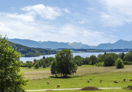 Neumarkt am Wallersee
