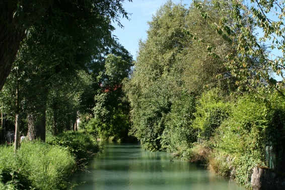 Salzburg-Gneis