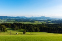 Henndorf am Wallersee