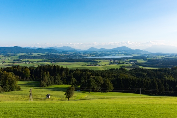 Henndorf am Wallersee