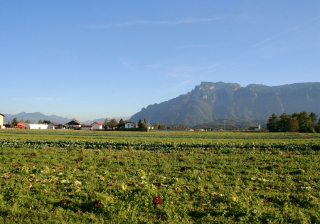 Wals bei Salzburg