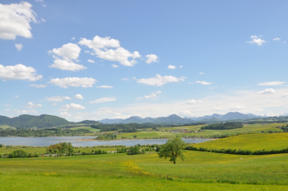 Seekirchen am Wallersee