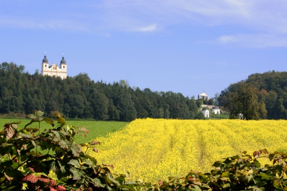 Bergheim bei Salzburg