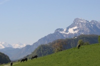 Hallwang bei Salzburg