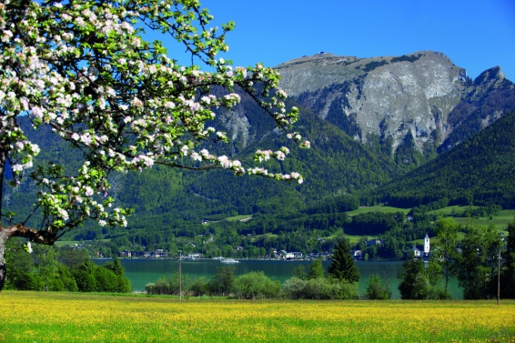 Strobl am Wolfgangsee