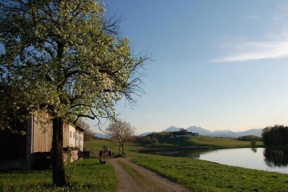 Elixhausen near Salzburg