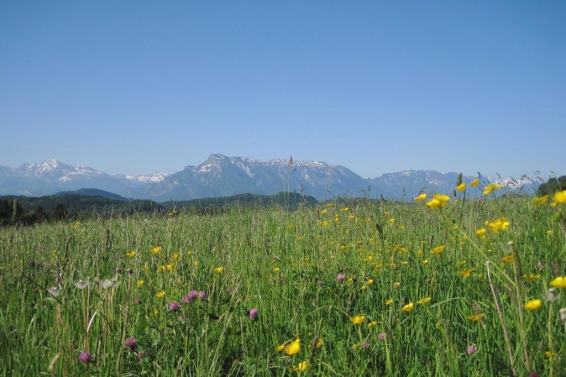 Elixhausen near Salzburg