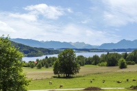 Neumarkt am Wallersee