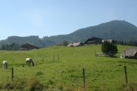 Koppl near Salzburg