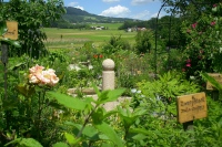 Anthering near Salzburg