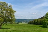 Göming near Oberndorf