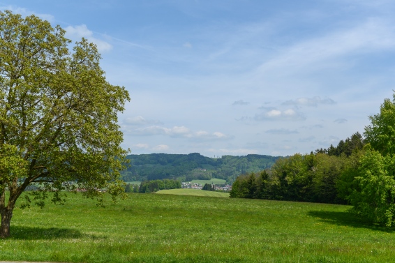 Göming near Oberndorf