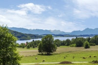 Neumarkt am Wallersee