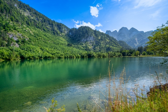 Chalet Dachstein View