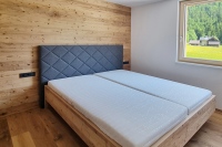 Chalet Dachstein View
