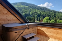 Chalet Dachstein View