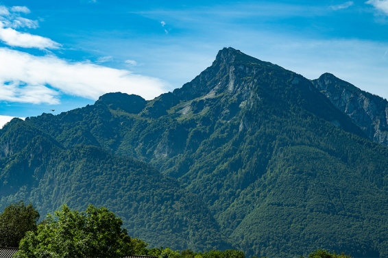 Stadtgrundstück Untersbergblick