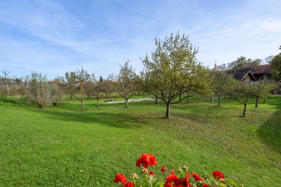 Penthouse Stilikone