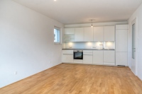 Terrassenwohnung Blickfang