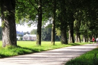 Stadtgrundstück am Grünland