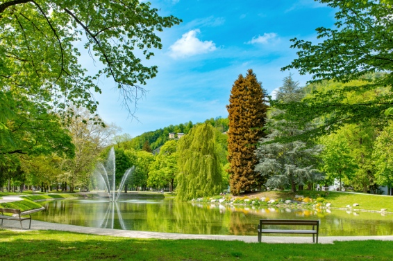 Terrassenwohnung By the River