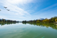 Stadtgrundstück zum Weiher