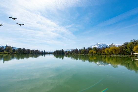 Stadtgrundstück zum Weiher