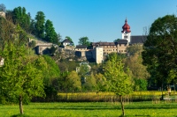 Terrassenwohnung Freigeist