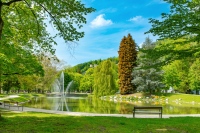 Stadtwohnung Bohemian