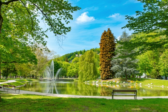 Stadtwohnung Bohemian