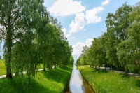 Designhaus Industrial Chic