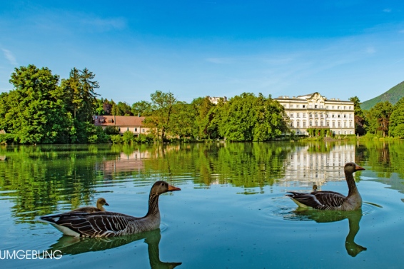 Grundstück Panorama-Beauty