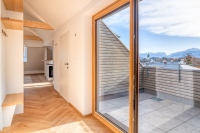 Luxuswohnung Brunnhaus View