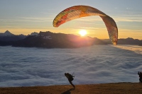 Dachetage Merci Cherie