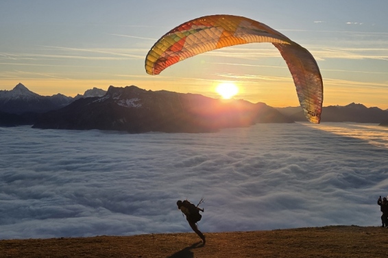 Dachetage Merci Cherie