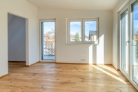 Penthouse Modern Max